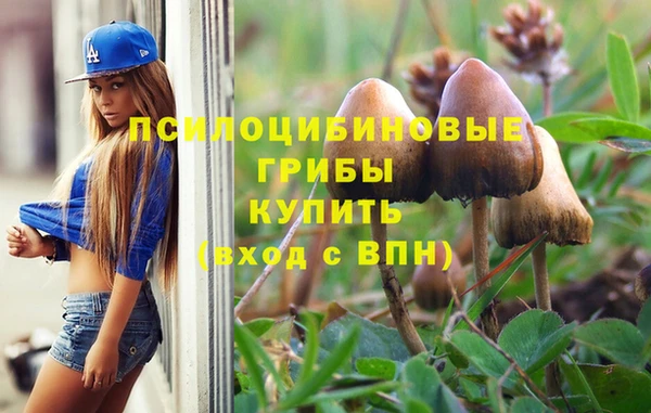 COCAINE Сясьстрой